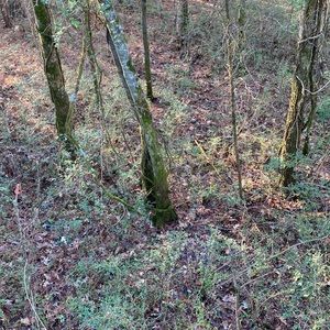 Meet your Posher, Ben